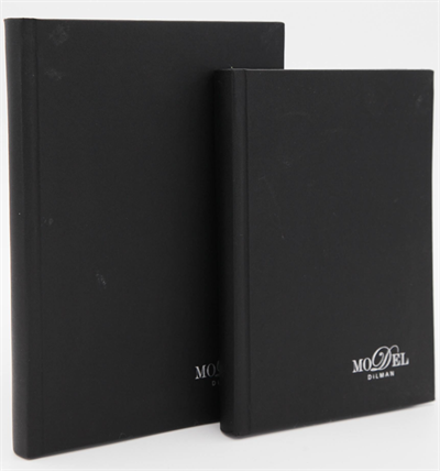 DİLMAN DEFTER MODELİST CİLTLİ SERT KAPAK 17x24 160 YP DÜZ 6013
