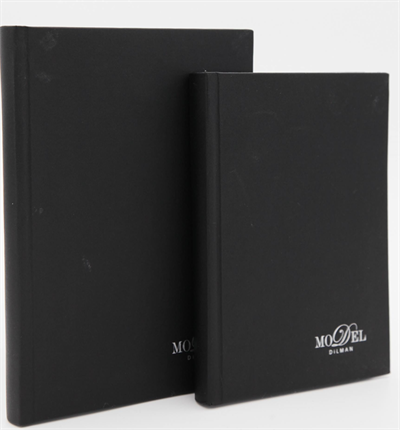 DİLMAN DEFTER MODELİST CİLTLİ SERT KAPAK 17x24 160 YP ÇİZGİLİ 6014