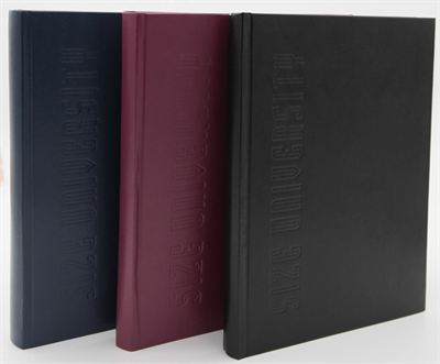 DİLMAN DEFTER ÜNİVERSİTE DİKİŞLİ SERT KAPAK 20x28 200 YP KARELİ 6801
