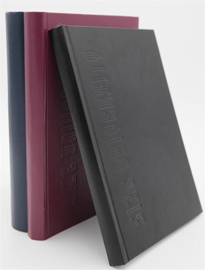 Dilman Defter Üniversite Dikişli Sert Kapak 20X28 200 Yp Düz 6847