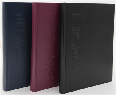 DİLMAN DEFTER ÜNİVERSİTE DİKİŞLİ SERT KAPAK 20x28 300 YP ÇİZGİLİ 6816