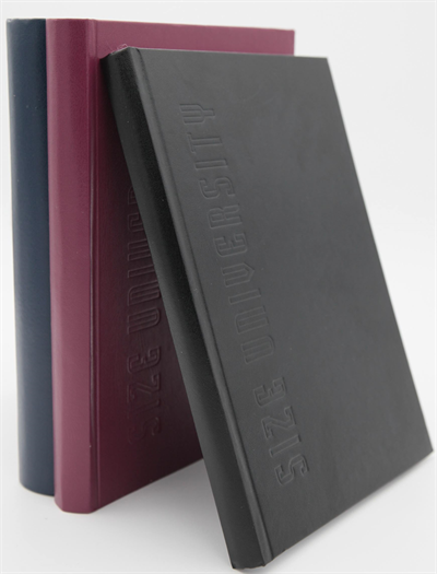 DİLMAN DEFTER ÜNİVERSİTE DİKİŞLİ SERT KAPAK 20x28 300 YP ÇİZGİLİ 6816