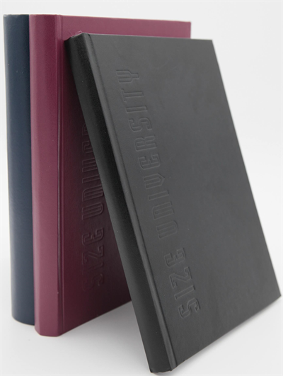 DİLMAN DEFTER ÜNİVERSİTE DİKİŞLİ SERT KAPAK 20x28 200 YP KARELİ 6801