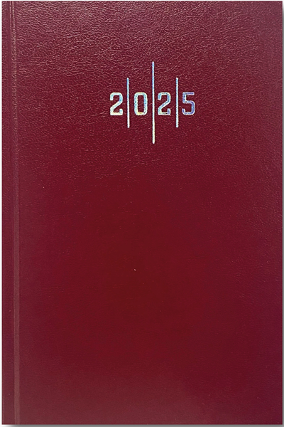 LİZ AJANDA 2026 14X20 EKONOMİK CİLT BEZİ ÇİZGİLİ AJ902E