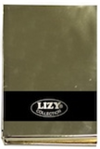 LİZ DEFTER AYNA KAPAK IVORY 96YP ÇİZGİLİ  AYN123Ç