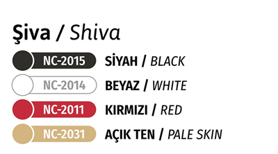 NOVA COLOR AKRİLİK POURİNG SET ŞİVA NC-2515