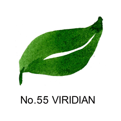 ZIG CAMBIO TAMBIEN PEN VIRIDIAN 055 X050T