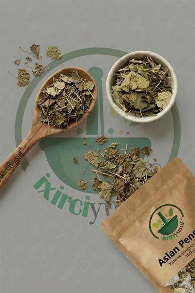 Aslan Pençesi (Testere Dişli) 100 g – Yeni Mahsül