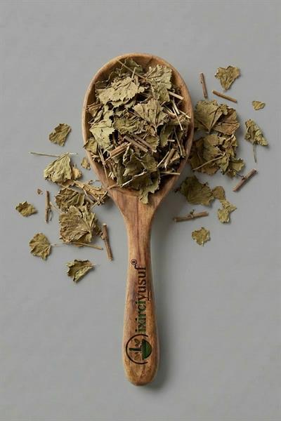 Aslan Pençesi (Testere Dişli) 100 g – Yeni Mahsül