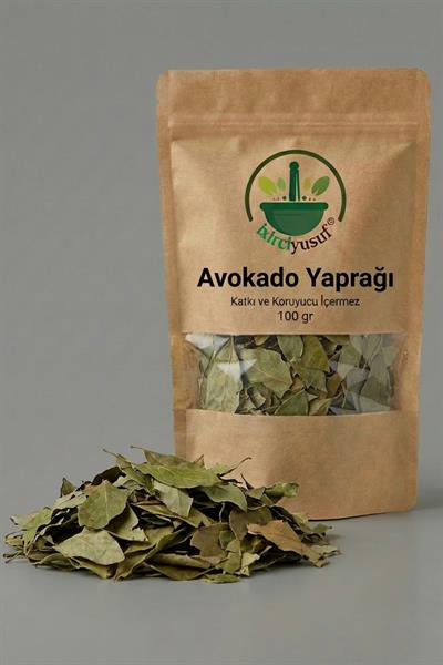 Avokado Yaprağı 100 g – Doğal