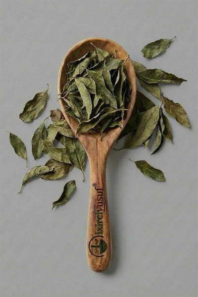 Avokado Yaprağı 100 g – Doğal