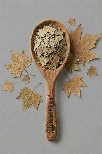 Çınar Yaprağı 100 g – Doğal