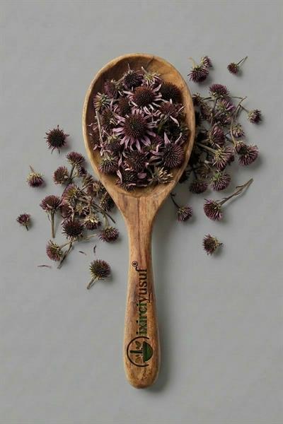 Ekinezya 100 g – Elenmiş & Doğal