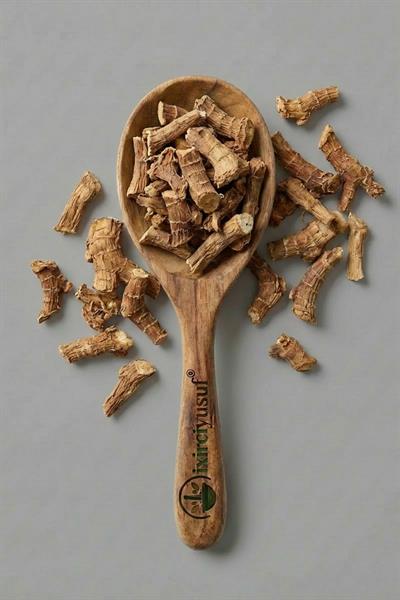 Havlıcan Kök 50 g – Katkısız