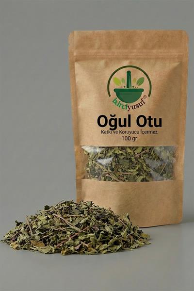 Oğul Otu 100 g – Doğal