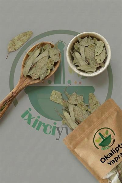 Okaliptus Yaprağı 100 g – Doğal Kurutulmuş