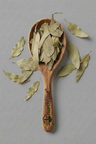 Okaliptus Yaprağı 100 g – Doğal Kurutulmuş