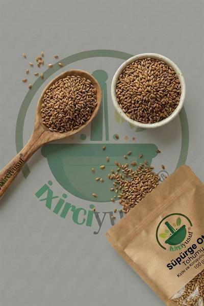 Süpürge Otu Tohumu 100 g – Katkısız