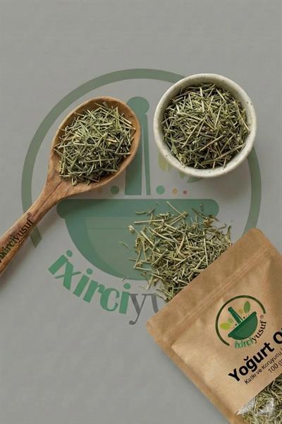 Yoğurt Otu 100 g – Doğal