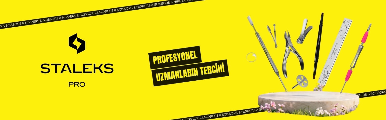 STALEKS PRO