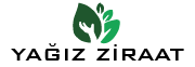 Firma Logosu
