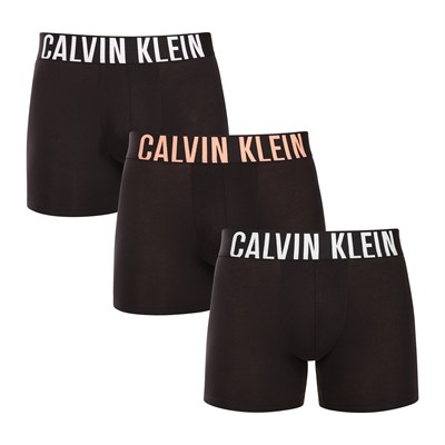 CALVIN KLEIN  ERKEK 3 LÜ BOXER NB3609A-VVN