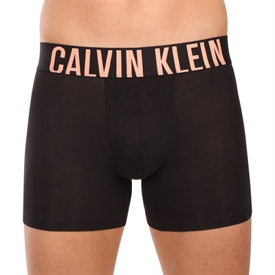 CALVIN KLEIN  ERKEK 3 LÜ BOXER NB3609A-VVN
