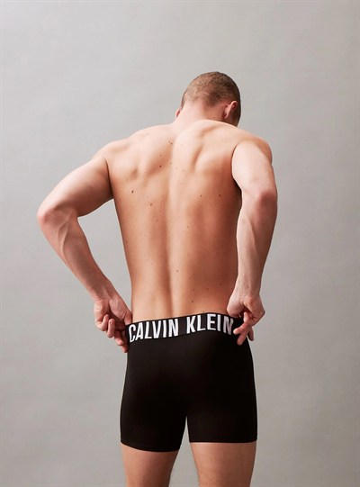 CALVIN KLEIN ERKEK 3 LÜ BOXER NB3612-001