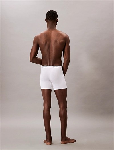 CALVIN KLEIN ERKEK 3 LÜ BOXER NB4394-100