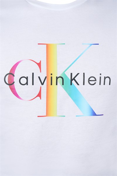 CALVIN KLEIN ERKEK T-SHIRT 40BM828-110