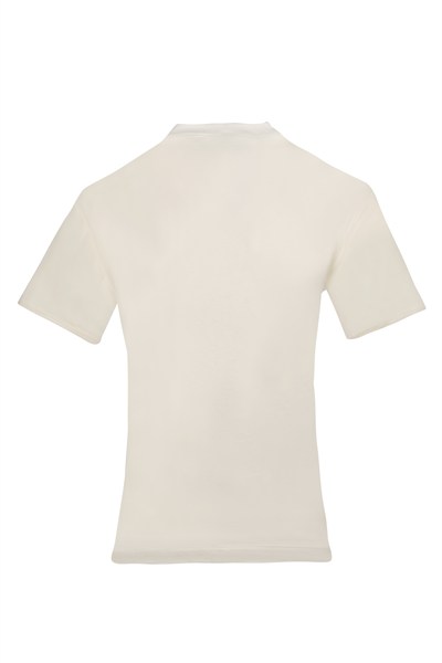 CALVIN KLEIN ERKEK T-SHIRT 40HM229-102