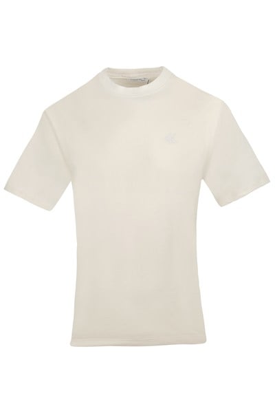 CALVIN KLEIN ERKEK T-SHIRT 40HM229-102