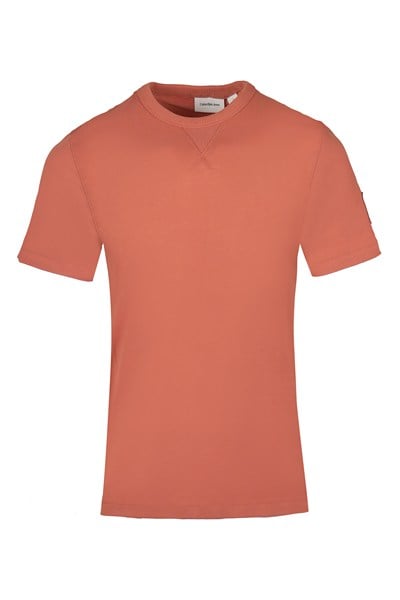 CALVIN KLEIN ERKEK T-SHIRT J30J323484-GAM