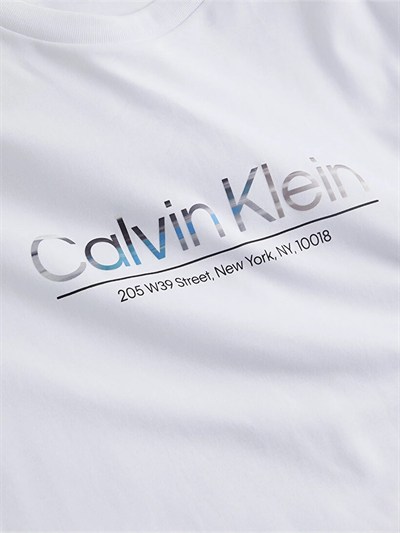 CALVIN KLEIN ERKEK T-SHIRT K10K111133-YAF