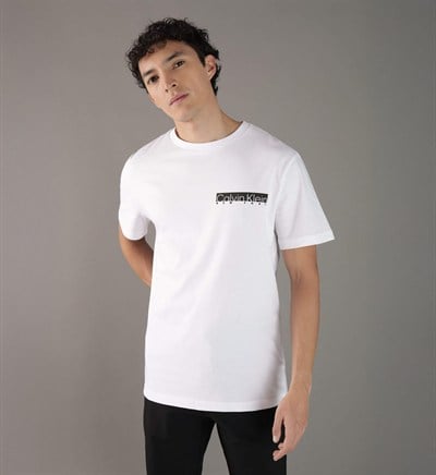 CALVIN KLEIN ERKEK T-SHIRT K10K113800-YAF