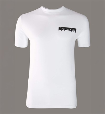 CALVIN KLEIN ERKEK T-SHIRT K10K113800-YAF