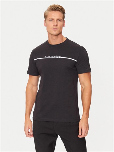 CALVIN KLEIN ERKEK T-SHIRT K10K113802-BEH
