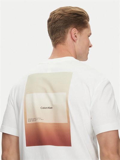 CALVIN KLEIN ERKEK T-SHIRT K10K114158-YAF