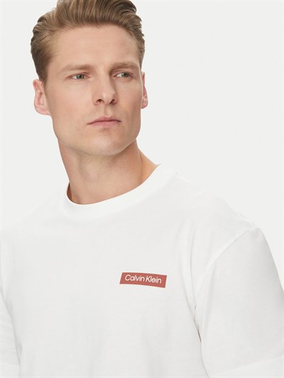 CALVIN KLEIN ERKEK T-SHIRT K10K114158-YAF