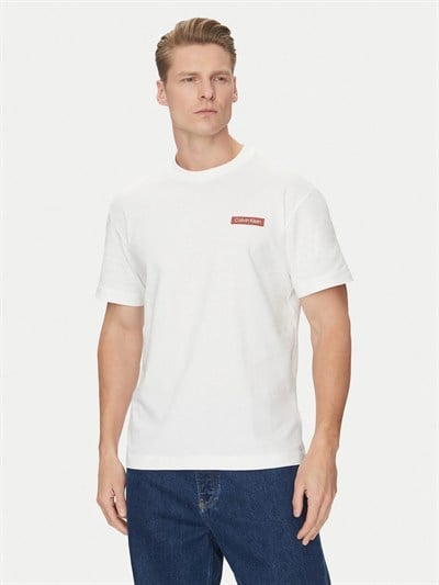 CALVIN KLEIN ERKEK T-SHIRT K10K114158-YAF