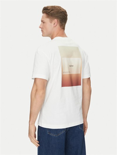 CALVIN KLEIN ERKEK T-SHIRT K10K114158-YAF