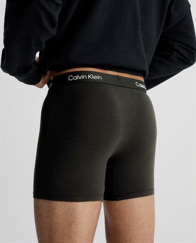 CALVIN KLEIN ERKEK TEKLİ BOXER NB3404A-UB1