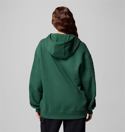 COLUMBIA ALDERMORE KADIN SWEATSHIRT 2123001-375