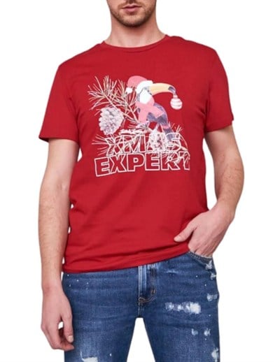 JACK JONES ERKEK T-SHIRT 12198774-SAGE
