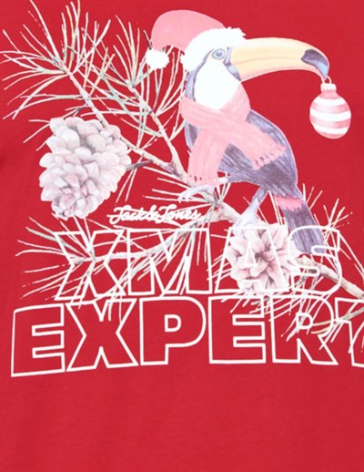JACK JONES ERKEK T-SHIRT 12198774-SAGE