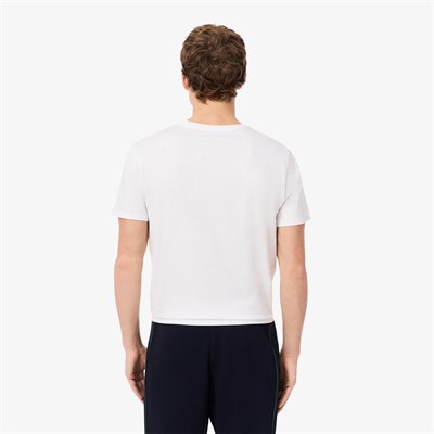LACOSTE ERKEK 3 LÜ ATLET TH9010-001