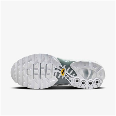 NIKE AIR MAX PLUS KADIN AYAKKABI FV0952-100