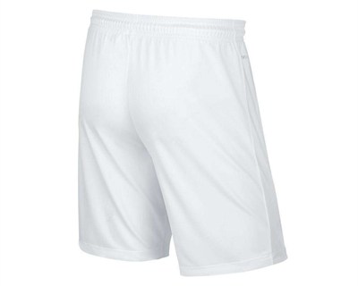 NIKE ERKEK ŞORT 725887-100