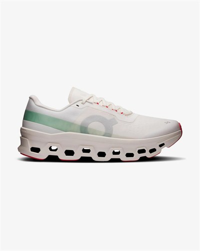 ON RUNNING CLOUDMONSTER 1 ERKEK AYAKKABI 3MF30741057