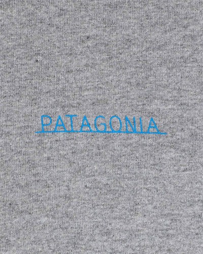 PATAGONIA ERKEK T-SHIRT 37572-GLH
